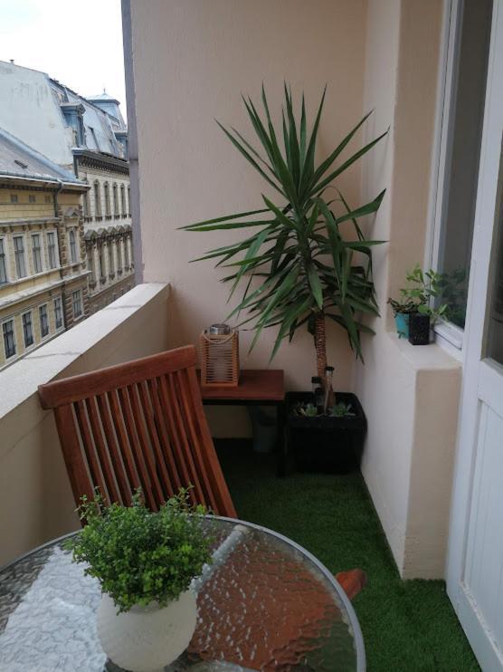 Centrum11 Pécs Eksteriør bilde